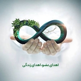 رئیس اداره درمان بیماری‌های معاونت درمان:  اهدای عضو؛ حماسه‌ی سخاوت و فرصت زندگی دوباره/ زنجان پیشگام در ایثار و پیوند اعضا
