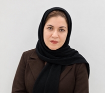 حضور عضو هیئت علمی دانشکده پرستاری و مامایی زنجان در میان دو درصد دانشمندان برتر جهان